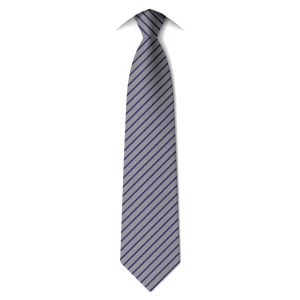 Coventry Striped Custom Tie